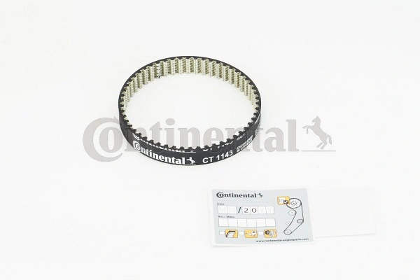 Timing Belt